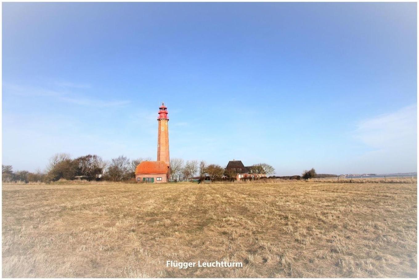 Apartament Hafenblick Orth Zewnętrze zdjęcie